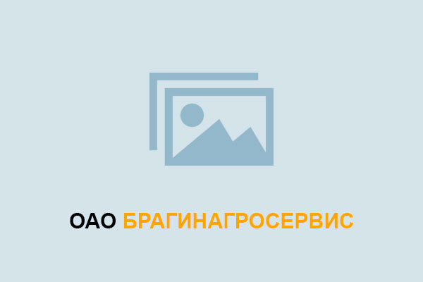 Информация о выплате дивидендов за 2024год
